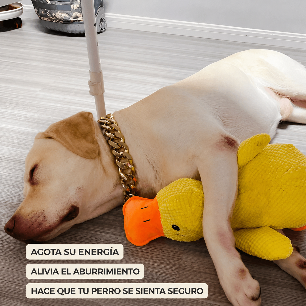 Perro descansando abrazado al Pato Apego XL